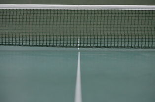 开云体育APP下载-瑞典乒乓球队爆冷法国乒乓球队，水谷隼高光表现