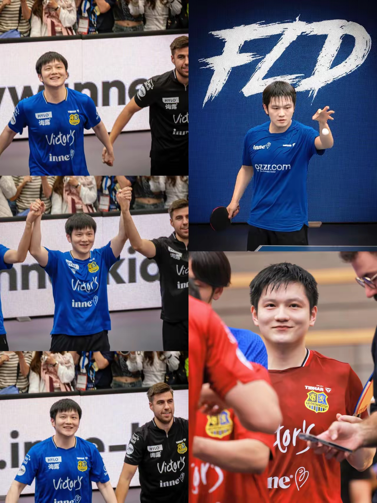 包含波兰队横扫德国队，樊振东刷新纪录的词条